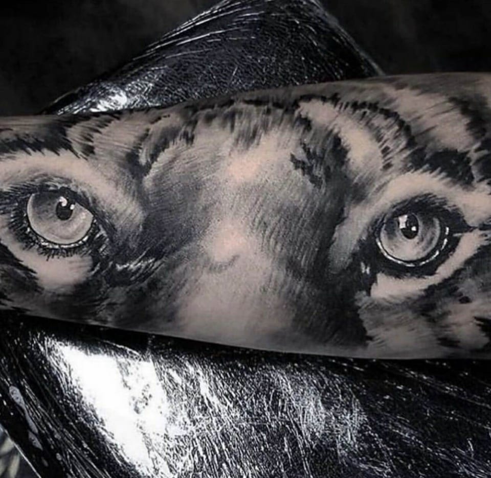 A black and grey realism tattoo of tiger eyes stretches across a forearm.