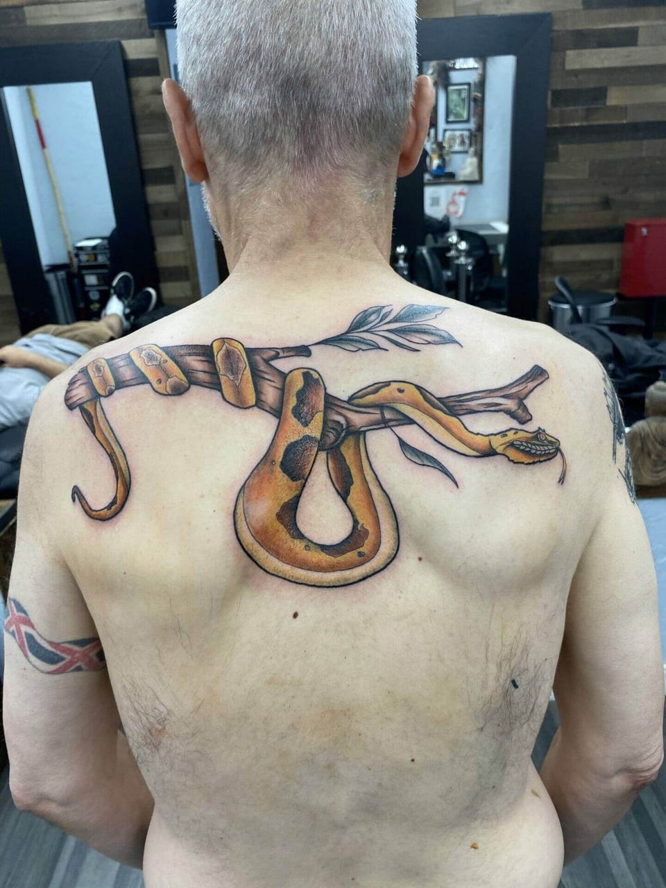 A golden illustrative snake coils around a leafy branch across the upper back.