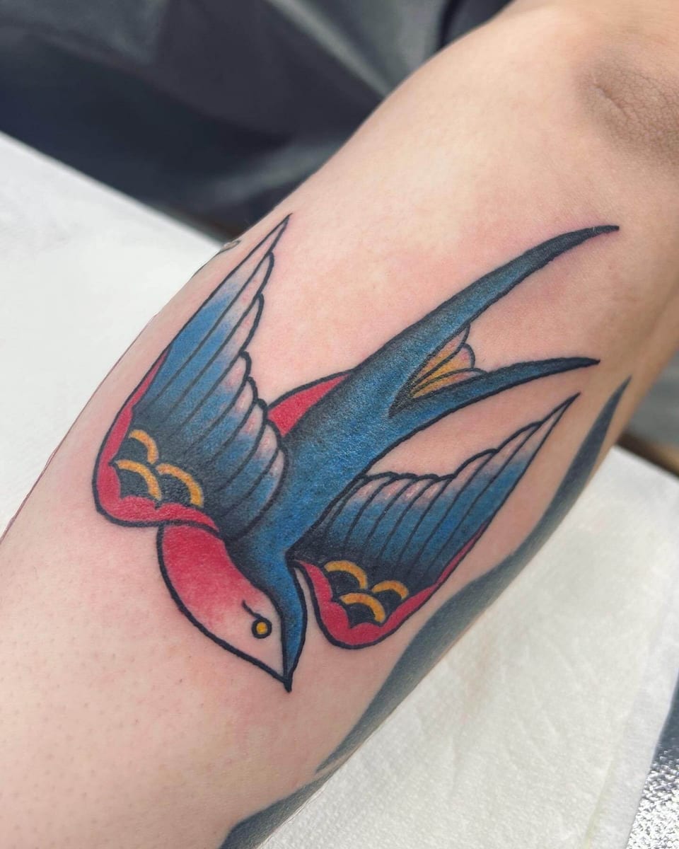 A traditional blue and yellow swallow with a red belly spreads its wings on the inner forearm.