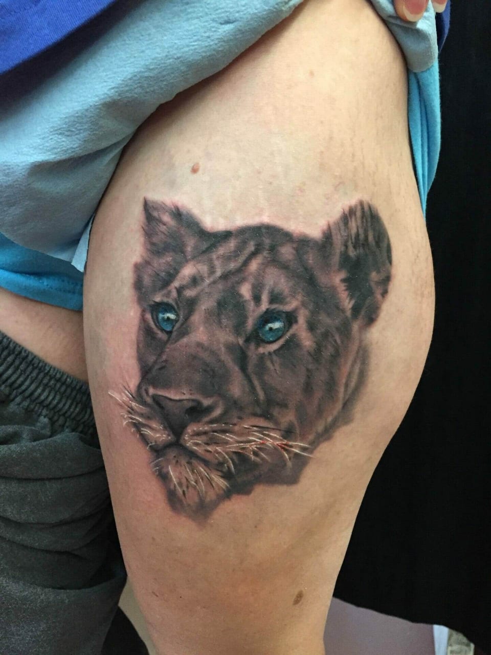 A realistic lioness tattoo has blue eyes and shaded fur on an upper arm.