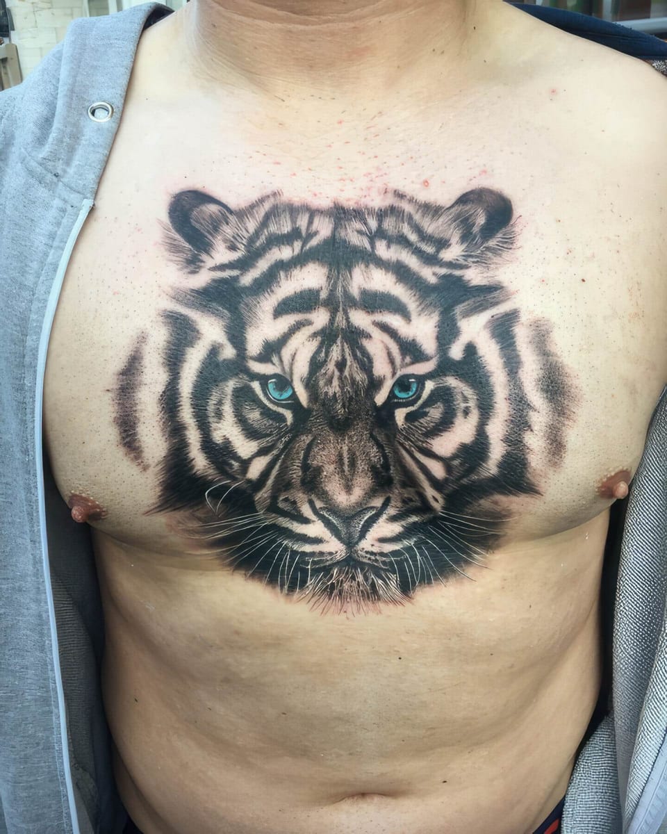 A shaded tiger face with blue eyes fills the center of a chest.