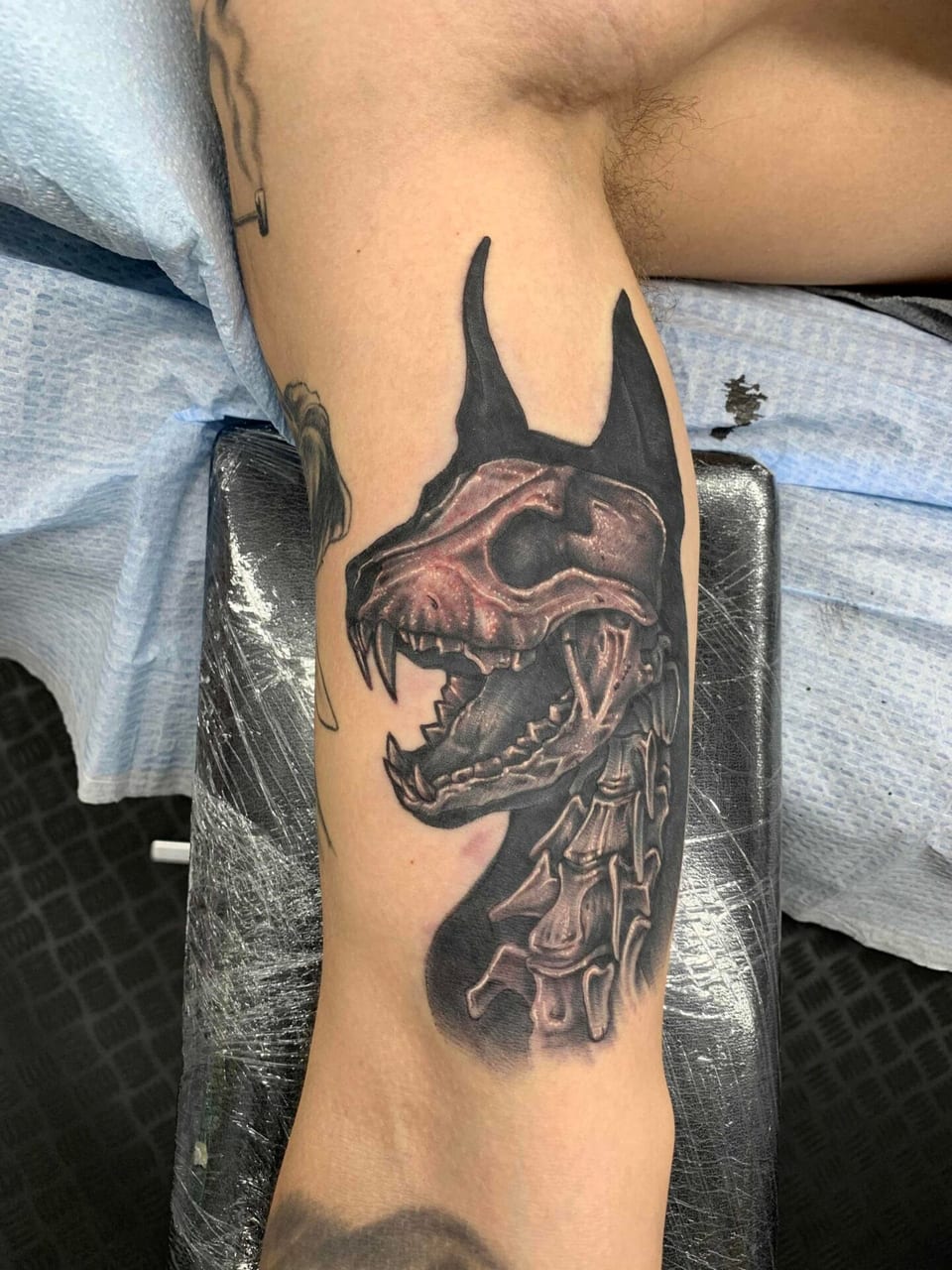 Skott Kautman
