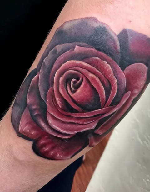 A realistic dark red rose covers an arm.